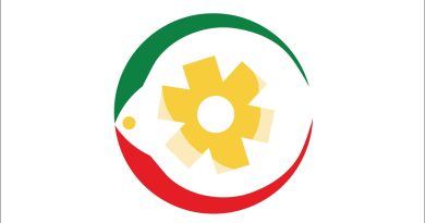 Risques sanitaires lors d'événements de masse : régulation et coordination