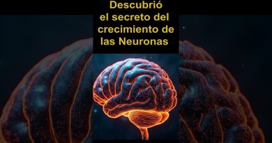 💥Rita Levi : Une scientifique qui a apporté l'espoir