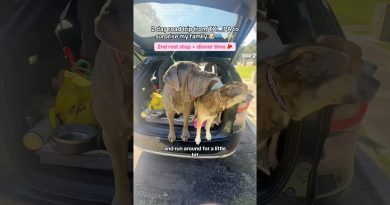 Road trip de 2 jours du TX à la PA pour surprendre ma famille