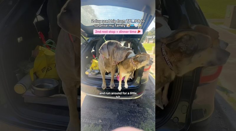 Road trip de 2 jours du TX à la PA pour surprendre ma famille