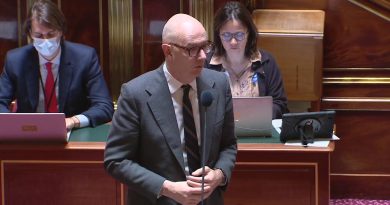 Roland Lescure plaide pour la réintroduction de la taxe sur les grandes entreprises