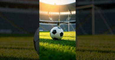 Roony Bardghji prêté à Stuttgart pour la saison