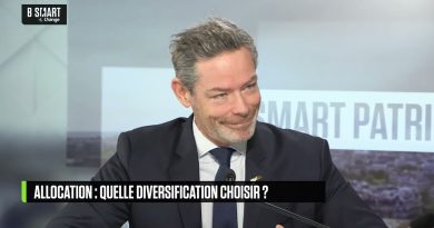 SMART PATRIMOINE : Stratégies pour une allocation diversifiée