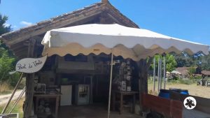 SSA : Une chance pour les agriculteurs bio