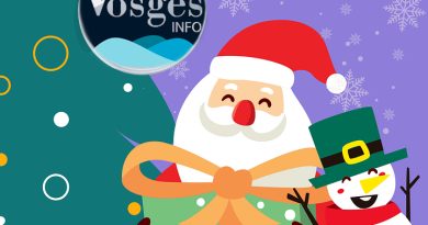 Saint-Dié Info souhaite un Joyeux Noël à ses Vosgiens préférés !