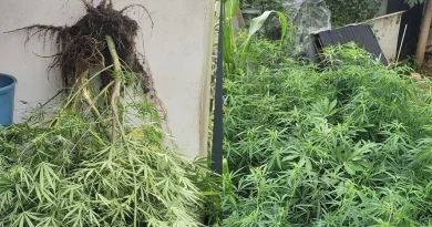 Salazie : les gendarmes intensifient leurs contrôles contre l’alcool et le zamal