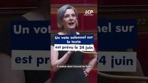 Sandrine Rousseau s'oppose au moratoire sur l'éolien et le solaire