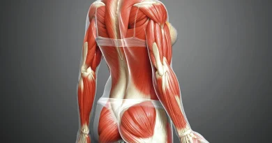 Le plus grand organe sensoriel du corps ignoré par la médecine : découvrez-le