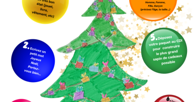 Sapinou est né ! – Collège Laetitia Bonaparte – Ajaccio