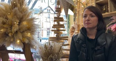 Sapins en plumeau et ambiance "cocooning" : la boutique de cette fleuriste élue plus belle vitrine de Noël du Centre-Val de Loire