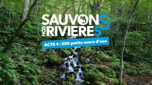 Sauvons nos rivières : Protégeons les petits cours d’eau !