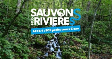 Sauvons nos rivières : Protégeons les petits cours d’eau !