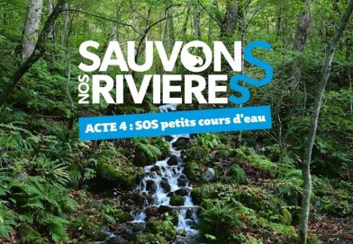 Sauvons nos rivières : Protégeons les petits cours d’eau !