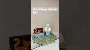 Schrödinger : La vérité sur sa célèbre chatte révélée