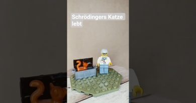 Schrödinger : La vérité sur sa célèbre chatte révélée