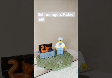 Schrödinger : La vérité sur sa célèbre chatte révélée