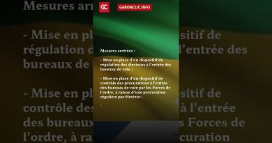 Second tour des législatives : Oligui Nguema impose des règles claires.