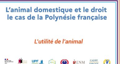Session 1 : Droit et représentation de l'animal