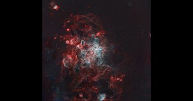 Session en direct : Astrophotographie de la nébuleuse Tarentule