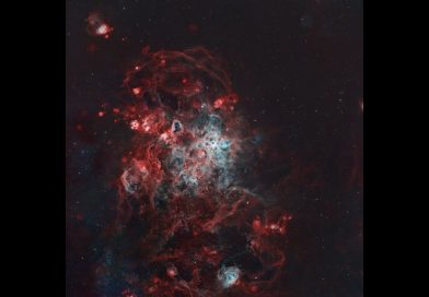 Session en direct : Astrophotographie de la nébuleuse Tarentule