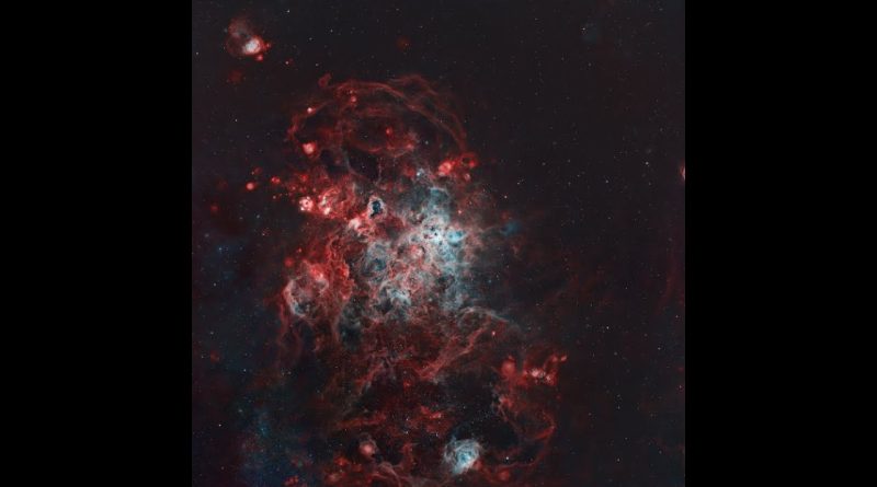 Session en direct : Astrophotographie de la nébuleuse Tarentule