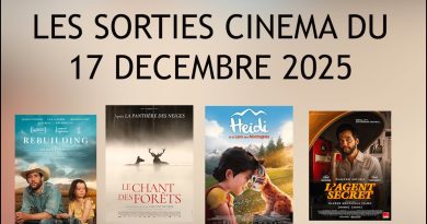 Sorties cinéma du 17 décembre 2025 : AVATAR 3 en tête