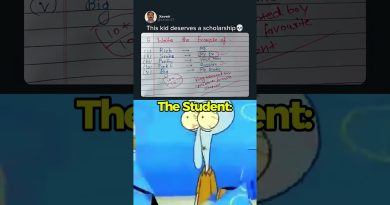 SpongeBob : L'univers coloré du célèbre personnage