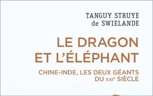 Le Dragon et l'Éléphant : Analyse des relations entre la Chine et l'Inde