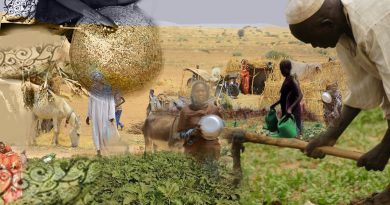 Soudan : les violations des droits des paysan·nes portent atteinte au droit international - Via Campesina