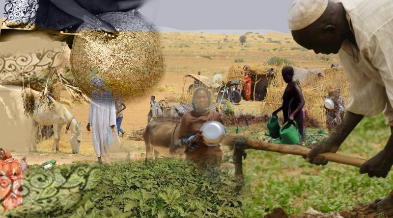 Soudan : les violations des droits des paysan·nes portent atteinte au droit international - Via Campesina