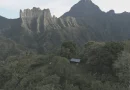 Sur les hauts plateaux de Tahiti, des passionnés essaient de sauver des espèces rares en danger
