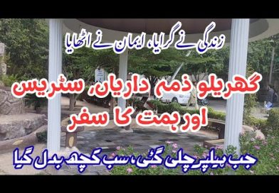 Comment j’ai surmonté le stress et l’anxiété : le récit d’une maman Surmonter le Stress et l'Anxiété : Leçons de Vie Transformantes