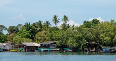 Bourgogne-Franche-Comté, Dijon, Besançon, vineyard, forest, river, mountain, village