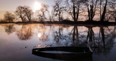 Bourgogne-Franche-Comté, Dijon, Besançon, vineyard, forest, river, mountain, village