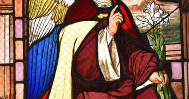 Centre-Val de Loire, Orléans, Tours, Loire river, castle, vineyard, forest, landscape