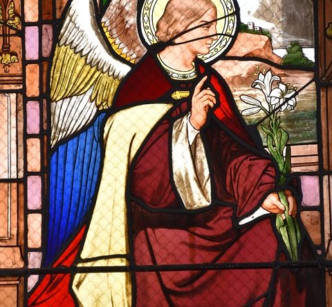 Centre-Val de Loire, Orléans, Tours, Loire river, castle, vineyard, forest, landscape