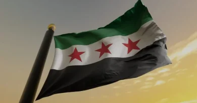 Syrie, un an après : analyse des événements marquants - IRIS