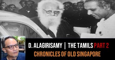 Tamouls de Singapour et du Tamil Nadu : Partie 2