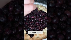 Tarte rustique aux myrtilles ultra facile