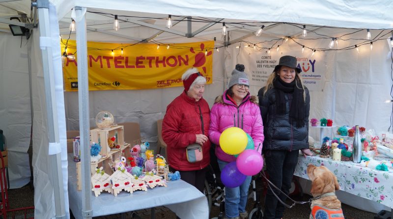 Téléthon : une mobilisation solidaire - Ville de Rambouillet