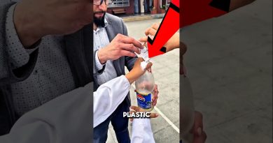 Tendances aviaires : le phénomène #birdtrend