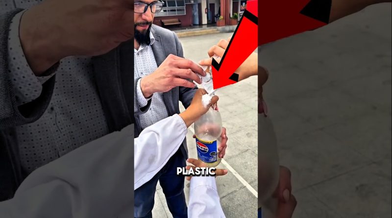 Tendances aviaires : le phénomène #birdtrend