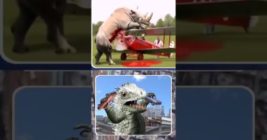 Terrifiant ou Étrange : Les Mystères de Google Maps