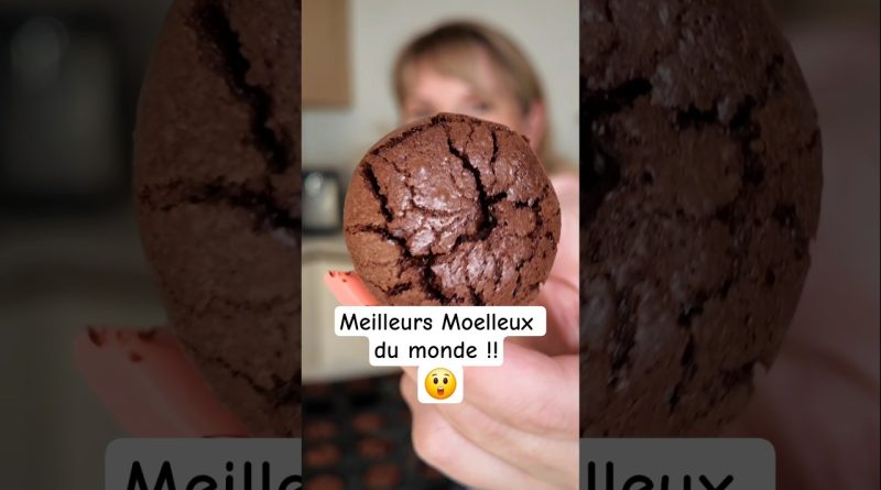 Test des Meilleurs Moelleux au Chocolat : Mon Verdict !