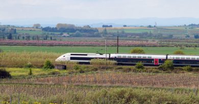 Tête claquée, étranglement : elle se déchaîne dans le TGV sur son petit garçon, une mère termine en garde à vue