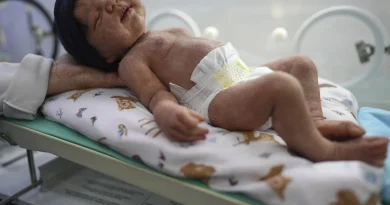 Thérèse Dune a ouvert une crèche pour bébés reborn dans le Nord