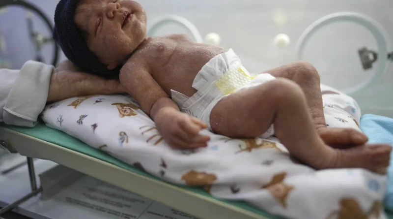 Thérèse Dune a ouvert une crèche pour bébés reborn dans le Nord