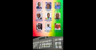 « Tola Bah : une voix emblématique de l'actualité guinéenne »