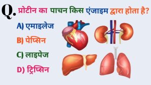 Top 20 Quiz de Culture Générale : Testez vos Connaissances !