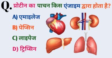 Top 20 Quiz de Culture Générale : Testez vos Connaissances !